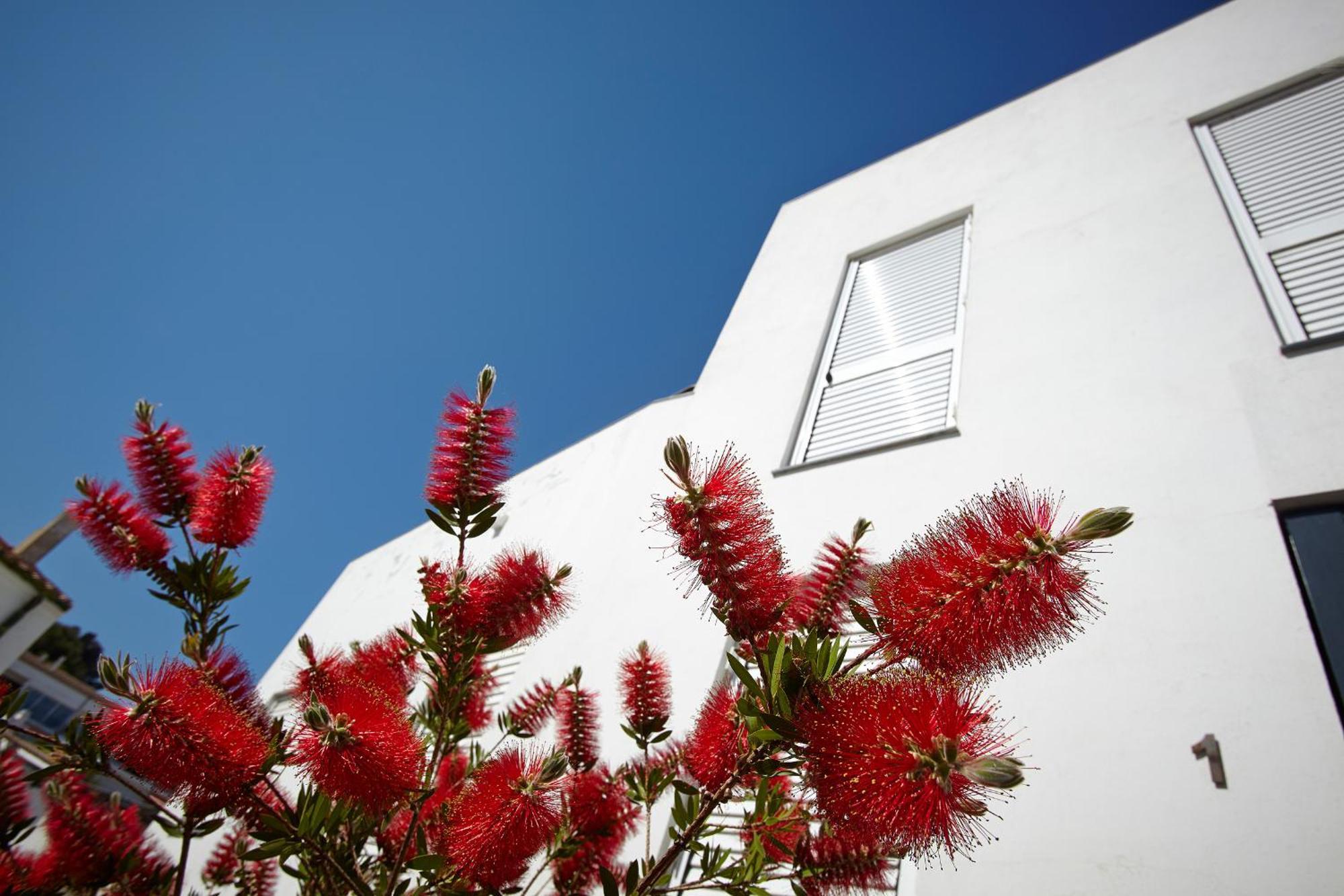 Canvas Apartments&Lofts Cadaqués Buitenkant foto